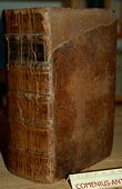 Kyburz, Kinder-Bibel [6]