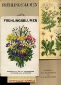 Schuhmacher, Fruehlingsblumen