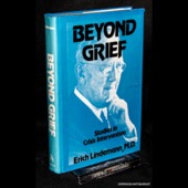 Lindemann, Beyond Grief