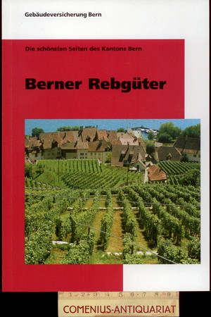  Kreis-Muzzulini .:. Berner Rebgueter 