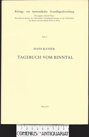  Kayser .:. Tagebuch vom Binntal 