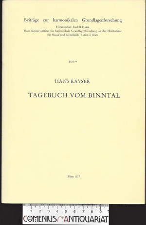  Kayser .:. Tagebuch vom Binntal 